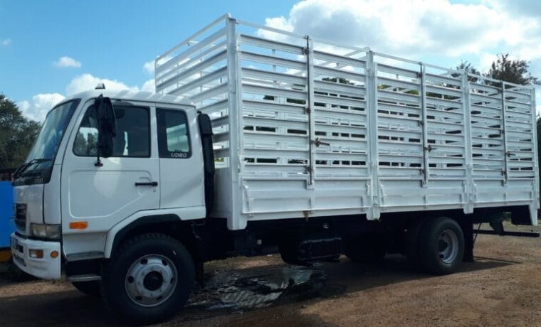 Cattle Truck 30ft
