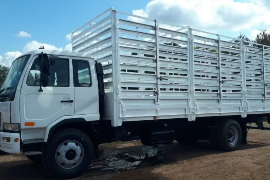 Cattle Truck 30ft