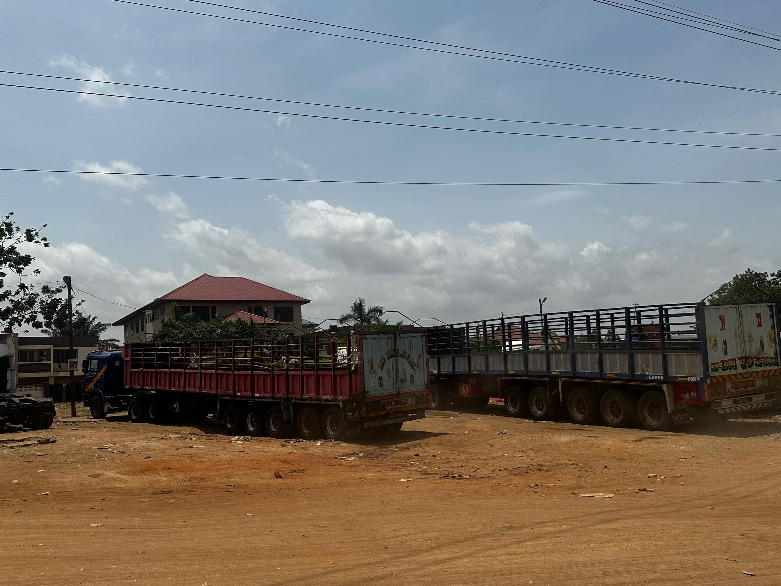 40ft Cargo Fence Trailer